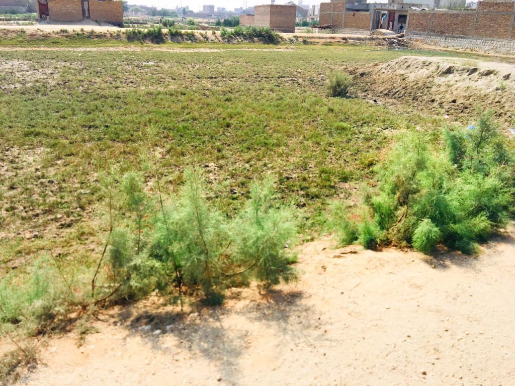 Plot for sale in Khairpur Township